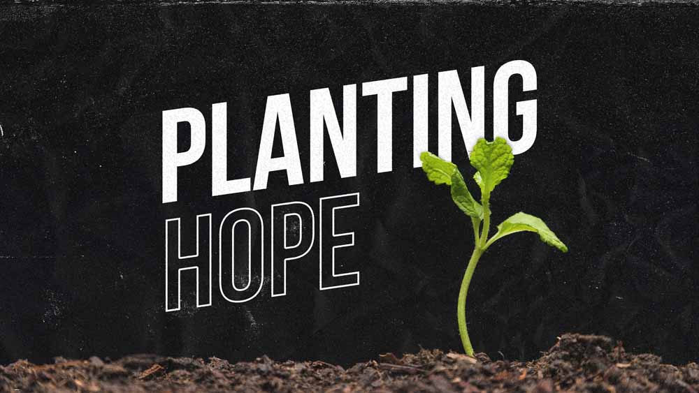 Planting Hope- medium size