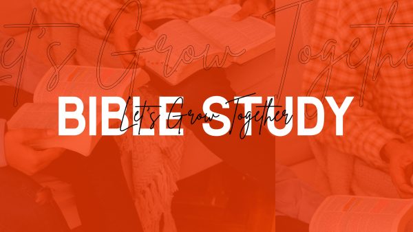 Book Bible Study Orange Overlay Script
