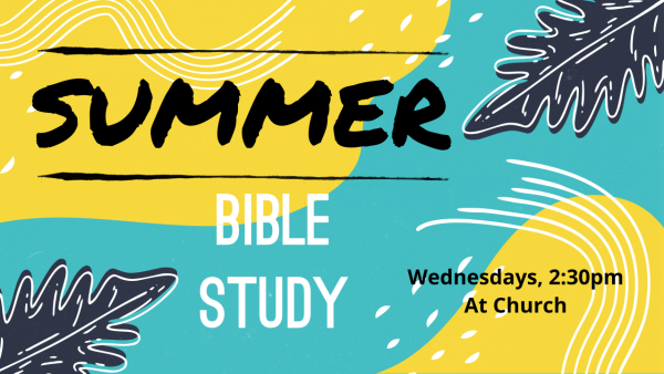Updated Summer Bible Study slide Updated Summer Bible Study slide