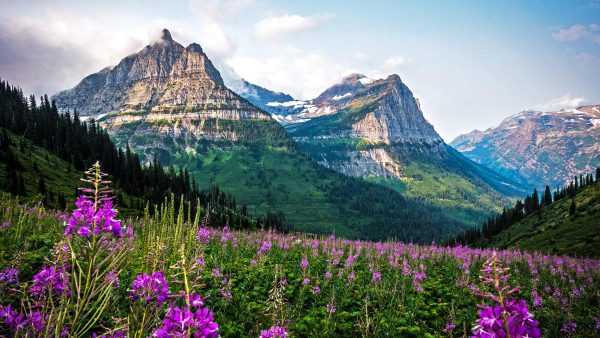 logan-pass-goingtothesun-glacier-nps1