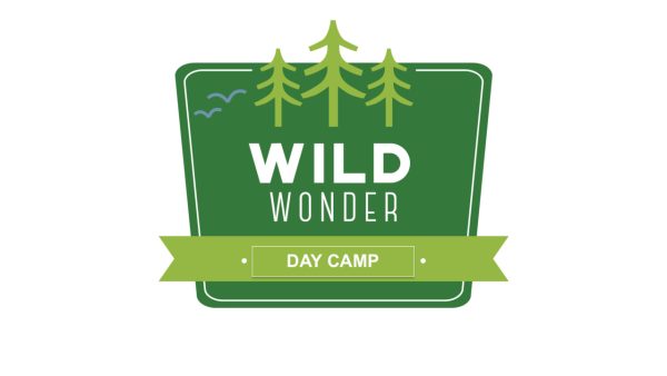 Wild Wonder slide