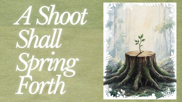 A Shoot Shall Spring Forth slide